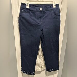 Style and Co Capri Dress Pants